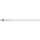 MAS LEDtube HF 1500mm UO 36W 865 T5