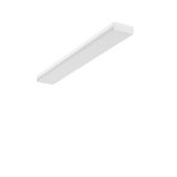 PLANADO, 39 W, 4950 lm, 840, white, DALI Ceiling and wall luminaires, 