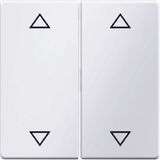 Rocker 2-gang Berker Q.1/Q.3/Q.7/Q.9 arrow symbol polar white velvety