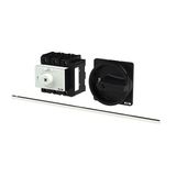 P3 Main switch, 80 A,Rear mounting, 3 pole, Form M4/SVB, Black, Door c
