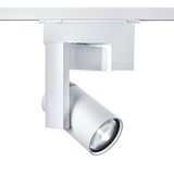AGILIO 5000-930 DOP/ IQ 3CD SP-WFL WH - LED spotlight