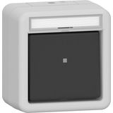 rocker btn 2-way m-c in.sp. WD surface-mounted grey
