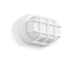 Alu-Lux oval, 8 W, 480 lm, 830, white, on/off Ceiling and wall luminai