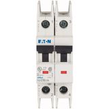 Miniature Circuit Breaker 2P 16A C Curve