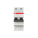 SH202L-B32 Miniature Circuit Breaker - 2P - B - 32 A