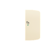 Rocker, 2gang right, with “Dimmer” icon