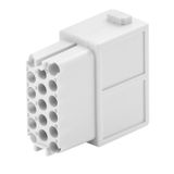 Signal module, 160 V, 10 A, Number of poles: 17, Crimp connection, Female, Required plug-in slots: 1