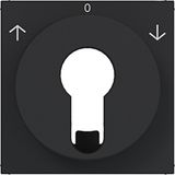 Centr.pl. blind switch/pulse driver DIN-cylinder arrow symbol A.x/C.x black mat