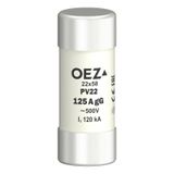 Fuse-link PV22 125A gG