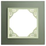 SINGLE FRAME TITANIUM/PEARL