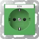 socket SCHUKO 4462107 BSF + SH System 55 Green