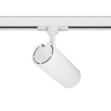 WHITE COB 20W WW TRACK SPOT 230V