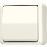 1-gang switch 10 AX / 250 V ~ 607A
