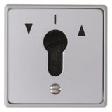 Blind push button 1-prong for key cylinder, flush-mounted, cast IP44