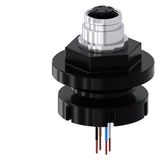 Adapter, M12 socket, 4-pole, for M20/M25 cable entry