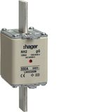 NH fuse NH2 gG 500V 300A central indic.