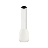 AI 10-18 IV - Ferrule