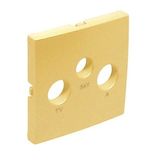 COVER PLATE FOR R-TV-SAT SOCKETS GOLDEN