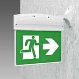 SAFETY-FLAG 620 LED 5W CLD CEML GRI 3H