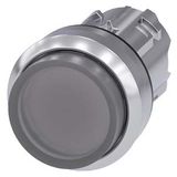 Pushbutton, illuminated, 22 mm, round, metal, high gloss, clear, button