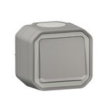 PLEXO 1 GANG 2-WAY SWITCH INDICATOR 24V - GREY - SURFACE