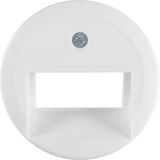 Central part RJ data socket 2-V, 45°, Series 1930/Glass, polar white