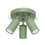 Ceiling lamp RING 3P sage