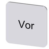 Labeling plate 22x22 mm, silver-colored label, labeling: Vor