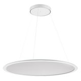 SL713 RL PL 62 S/C 840 WH9016 DALI MP