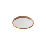 LEANA 2 LED 24W 3000K 71144