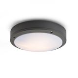 SONNY ceiling anthracite grey 230V LED E27 2x15W IP54