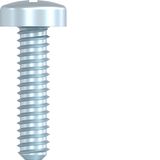 Anti-theft screw for electronic modules