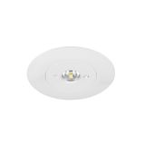 P-LIGHT RL 6000K 4W
