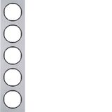 Frame 5gang, R.3, al./black