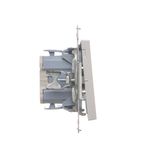 Double pushbutton without pictogram, (module), Simon 24, IP20/IP44, 10AX, 10A, champagne matt