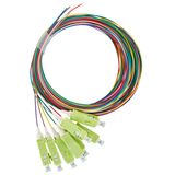 FO Pigtail SC, 50/125æm OM5, 2.0m, Easy Strip, 8pcs