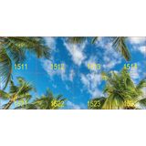 MODUS IB SKY, recessed into raster - modul 600, square A, LED 840, DALI driver, SKY 15, set of 8 pcs
