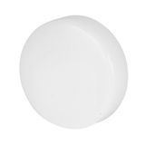 White lens for pilot light