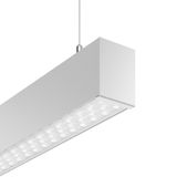LINEDO single IP20, 40 W, 6100 lm, 830, aluminium, DALI Pendant lumina