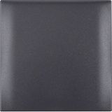 Integro Flow-Frame, 1-Gang with Hinged Cover, Anthracite Matt