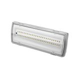 PANLUX LED lamp FENIX 5W 300lm 6000K 3h emergency IP65