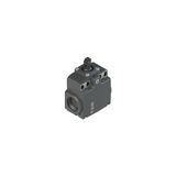 Position switch with plunger, external gasket and roller