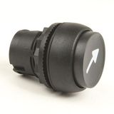 Allen-Bradley 800FP-E208 800F PB, 22mm Momentary Push Button, Extended Push-Button, Arrow, No Power Module (Lamp Type), Black, No Power Module, Plastic, No Power Module (Voltage), No Screw, (Monolithic Circuit)