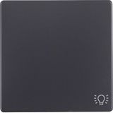 Rocker imprinted symbol for light, Q.1/Q.3, ant. velvety, lacq.