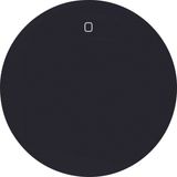 Rocker imprint "0", R.1/R.3, black glossy