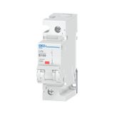 Miniature circuit breaker LVN-100B-1