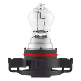 2504 24W 12V PG20-7 FS1 OSRAM