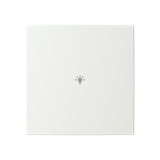 ESP 110Q/PT module