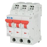 Miniature circuit breaker (MCB) with plug-in terminal, 10 A, 3p, characteristic: C