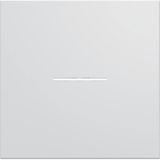 GALLERY PLATE SWITCH/BUTTON LIGHT 2 F. PURE